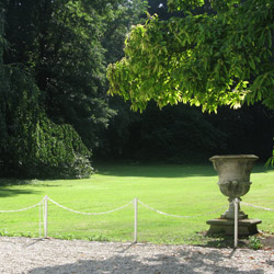 Olivier Sinic - Le Château Blanc